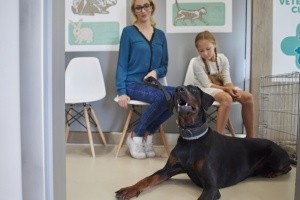 animal service floors